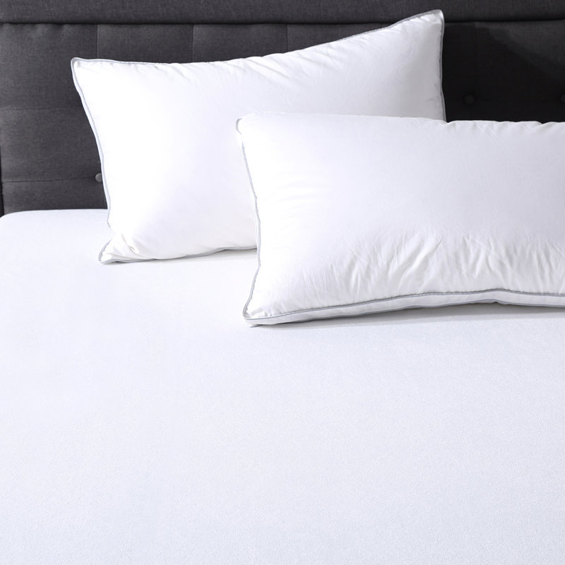 Alwyn Home DefendABed Hypoallergenic and Waterproof Fitted Mattress